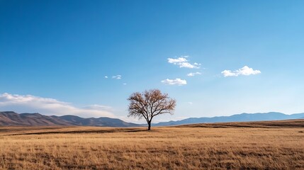 Fototapeta premium Isolated Lone Tree Standing Against a Bright Blue Sky in a Wide Open Field : Generative AI