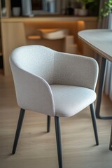 Elegant Modern Chair in a Bright Living Room With Minimalist Decor and Natural Light During the Day