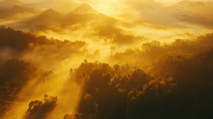 Naklejka premium Aerial top view of a Thai mountain rainforest at dawn, with misty valleys and golden sunlight illuminating the treetops.