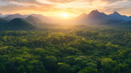 Obraz premium An aerial panorama of a lush forest leading to rugged mountains, with a radiant sunrise painting the sky in warm tones.