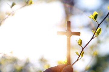 Bright spring background with warm sunshine and new life sprouting, holy cross of Jesus Christ and...