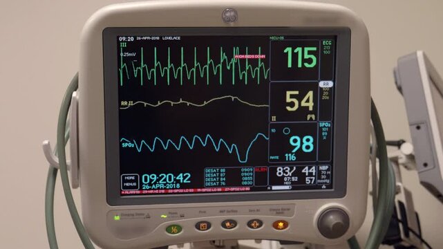 Cardiopulmonary Monitor