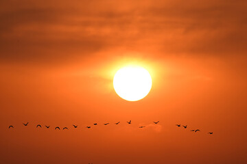 sunset over the sea