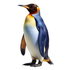 Fototapeta premium Penguin isolated on transparent background