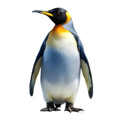 Obraz premium Penguin isolated on transparent background