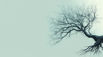 Intricate Tree Branches Create a Striking Silhouette Against a Light Blue Background During a Serene Midday Hour