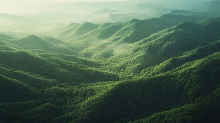 Obraz premium A sweeping aerial view of the Smoky Mountains in spring, with green ridges and soft morning light creating a tranquil scene.