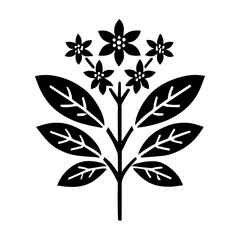 Simple Vector Icon of a Vernonia amygdalina – Logo Design Illustration