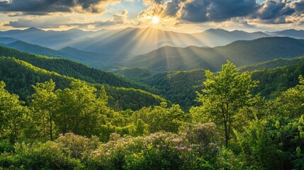 A vibrant spring morning in the Great Smoky Mountains, North Carolina, with sunlight streaming through lush green foliage and blooming wildflowers.
