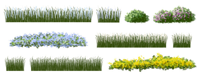 set of grass and meadow, Vector of tree or blooming  side view isolated on white background ,watercolor tree elevation for landscape concept,environment scene,eco design,blossom garden for spring
