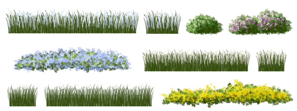 set of grass and meadow, Vector of tree or blooming  side view isolated on white background ,watercolor tree elevation for landscape concept,environment scene,eco design,blossom garden for spring
