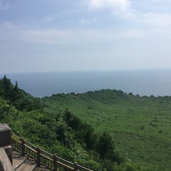 섬 풍경 한국 제주도 풀 거친잔디 하늘