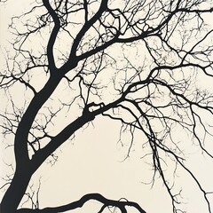 Silhouetted Tree Branches Against a Light Background Create an Artistic Contrast in a Tranquil Outdoor Setting During Late Afternoon