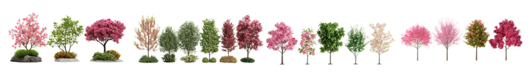 Fototapeta premium Assortment of vibrant colorful seasonal trees plants and florals in a natural outdoor setting showcasing the beauty of the changing environment through the seasons