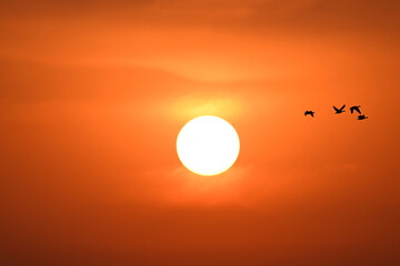 sunset over the sea