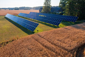 Solar panels installed alongside golden wheat field demonstrate renewable energy integration with agriculture. Sustainable farming meets clean power generation in a  rural energy transition