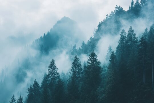 Mysterious fog envelops dense forest during early morning hours in tranquil mountainous region, Dense fog shrouds a forest, creating an eerie and mysterious atmosphere