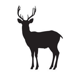 Powerful Buck Standing in Silhouette Form