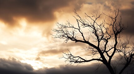 Obraz premium Silhouette of a Leafless Tree Against a Dramatic Sunset Sky with Clouds : Generative AI