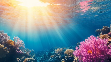 Naklejka premium Marine conservation illustration