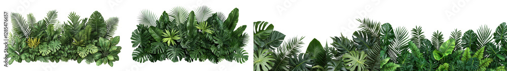 Poster this image showcases a dense and lush arrangement of tropical foliage creating a captivating nature 