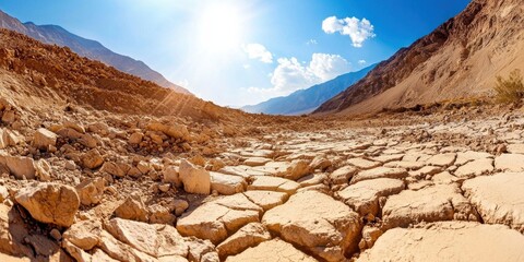 Surviving the extreme heat of Death Valley, USA, a desert endurance test.
