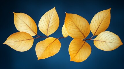 Fototapeta premium Golden Autumn Leaves Branch Against Dark Blue Background