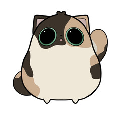 Super cute cat