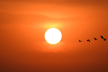 sunset over the sea