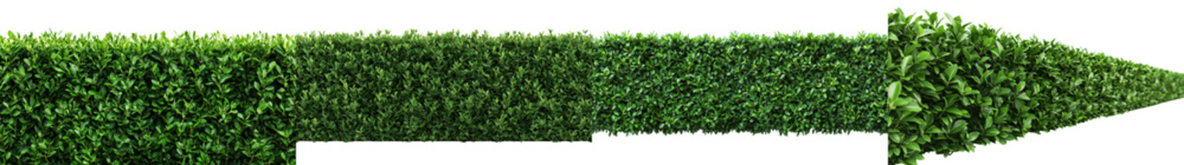 Obraz premium Perfectly trimmed and sculpted evergreen hedge creating a symmetrical geometric pattern in a lush vibrant outdoor garden landscape The neatly maintained foliage and greenery evoke a sense of order
