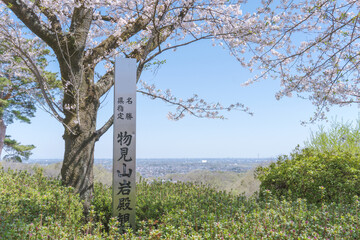 Fototapeta premium 日本：桜の下の地平線と物見山公園の標柱【岩殿丘陵】埼玉県東松山市