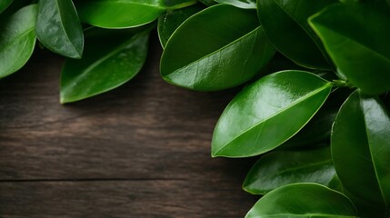 Close up of lush green leaves on wooden background : Generative AI