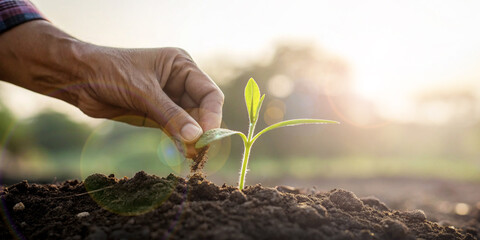 Abstract background. World Environment Day Concept and Tree Planting and Sustainable Nature Conservation. hand, growth, planting, environment, nature conservation, reforestation, eco friendly, soil