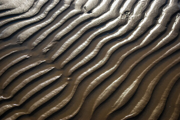 Texture della sabbia con la bassa marea lungo la spiaggia di Pesaro