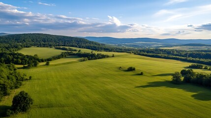 Fototapeta premium Expansive Green Fields Under Clear Blue Sky at Sunset : Generative AI