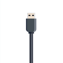 Dark gray USB-C cable with a gold connector, suitable for modern technology, office setups, and electronics-themed projects