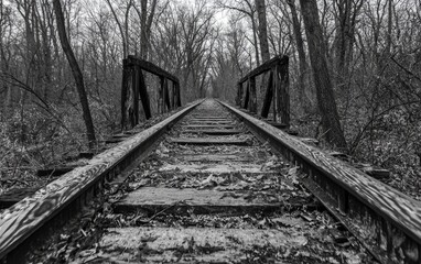 Old railway tracks lead through a dense forest under a cloudy sky in a remote location