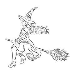 isolated illustration witch on the broom , black and white vector drawing, white background