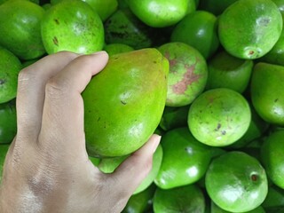 Avocados are green in color, shaped like pumpkins and have large seeds.