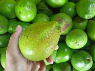 Avocados are green in color, shaped like pumpkins and have large seeds.