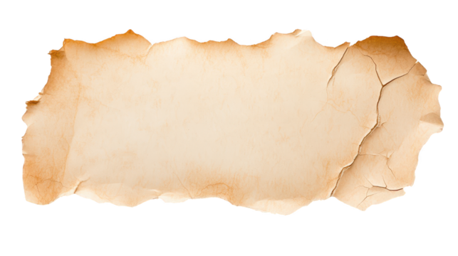 Closeup of textured torn edge of paper against a simple background abstract photography