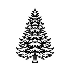 arborvitae tree line art vector