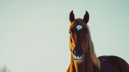 Bay horse in a clean, minimalist composition, symbolizing elegance and simplicity.
