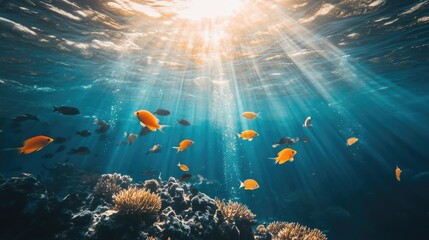 Naklejka premium Sunlight Rays Diffusing Through Clear Ocean Water with Colorful Fish