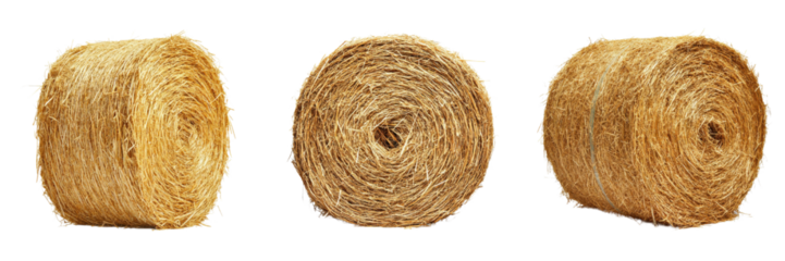A Set of Sophisticated Rolled Cylinder Hay Bale Designs Merging Rustic Agriculture with Contemporary Artistic Style Isolated on transparent Background