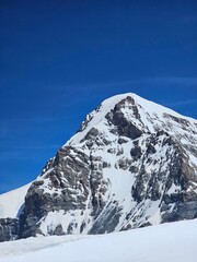 A stunning summer view of Jungfrau, one of Switzerland's most iconic peaks. The photo showcases the lush green meadows and vibrant alpine flowers at the base of the towering snow-capped mountain. The 