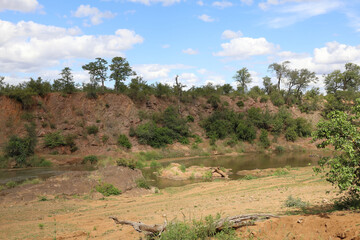 Kr&uuml;ger Park - Afrikanischer Busch &ndash; Mphongolo River / Kruger Park - African bush &ndash; Mphongolo River /
