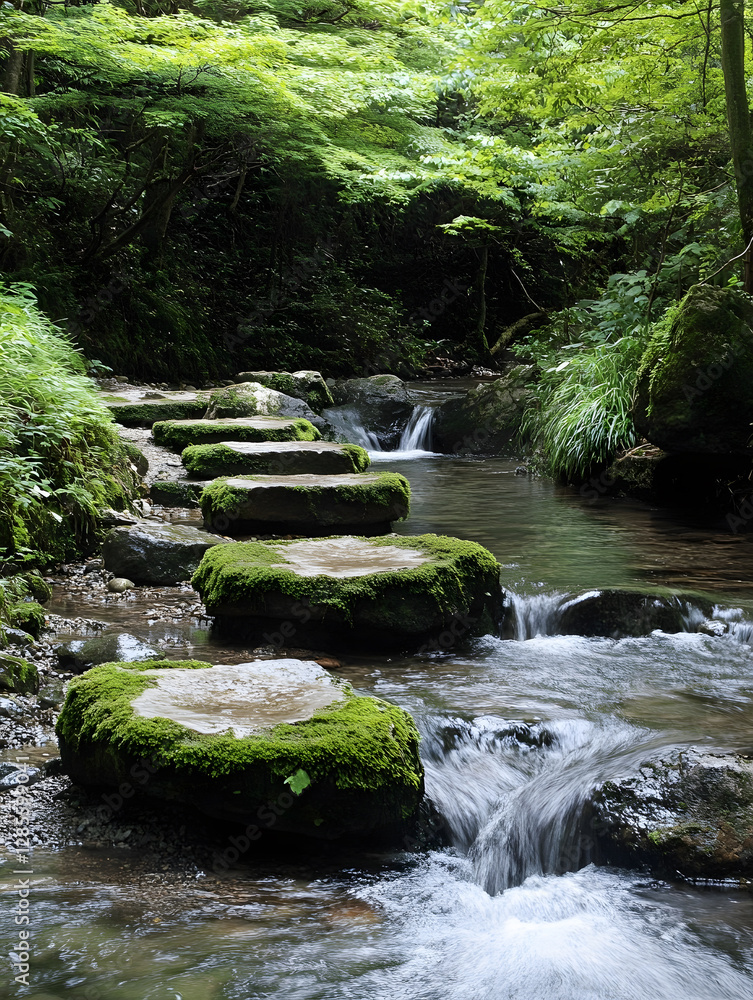 Poster Moss-covered Rocks and Gentle River Creating a Serene Natural Forest Stream Scene : Generative AI