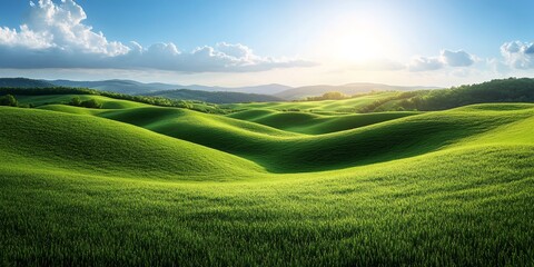 Fototapeta premium Rolling green hills bathed in sunlight under cloudy sky