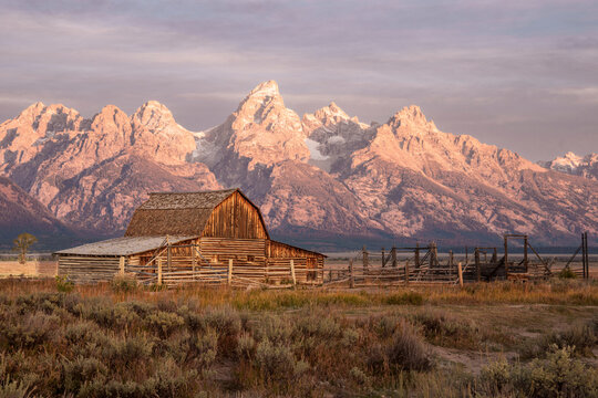 Sunrise at the Barns on Mormon Row in the Tetons